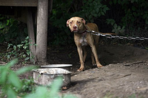 Dogfighting Raids Help