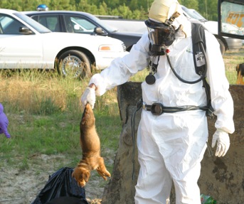 Ahoski police departmetn Det. Sght jerremy roberts holds a dead dog retrieved from a dumpster, in Ahoski, NC, wastewater treatment plant. Wednesday, June 15, 2005. (AP Photo/Roanoke-Chowan News-Herald, Cal Bryant)