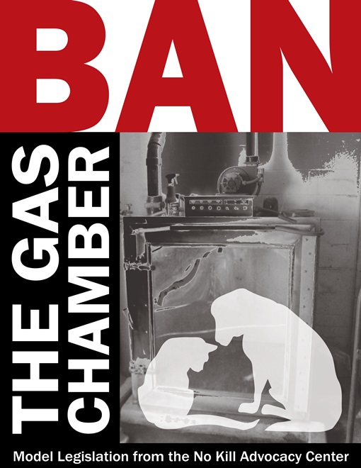 Ban the Gas Chamber_Layout 1_0001
