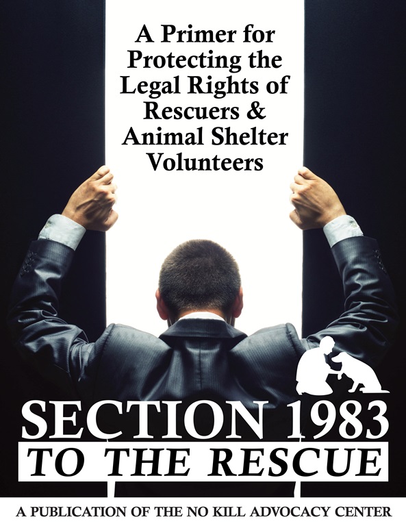 Section 1983 to the Rescue_Layout 1 1_0001