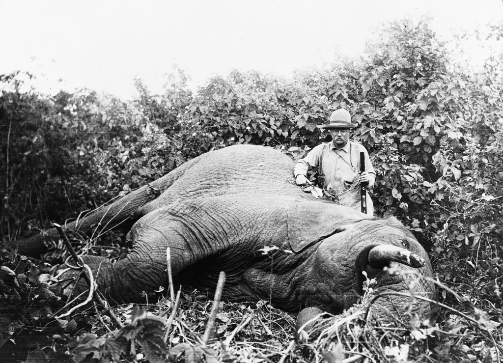 Roosevelt_safari_elephant