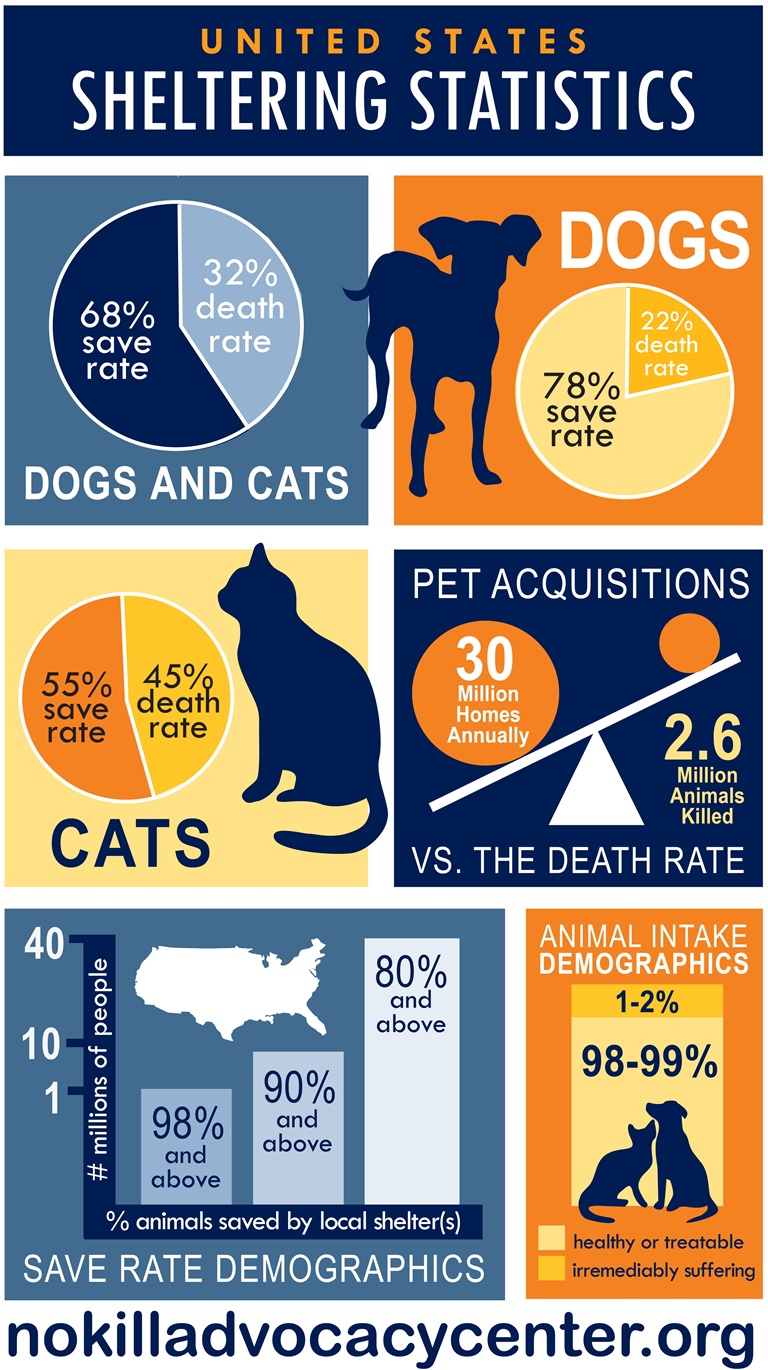 quick facts us sheltering statistics_Layout 1_0001