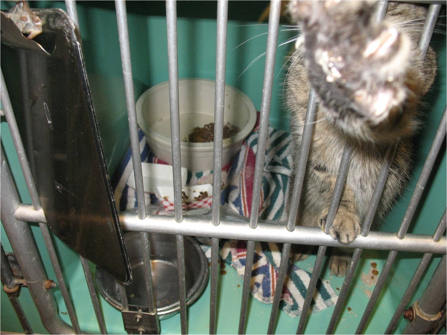 Picture1