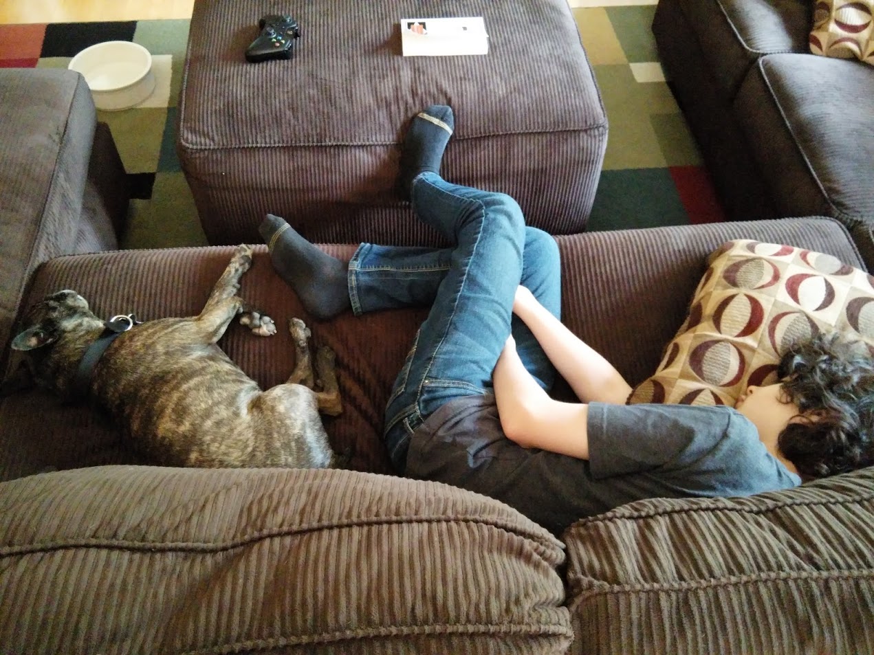 Housing Discrimination Ban Would Save 8.75 Million Animals Nathan J