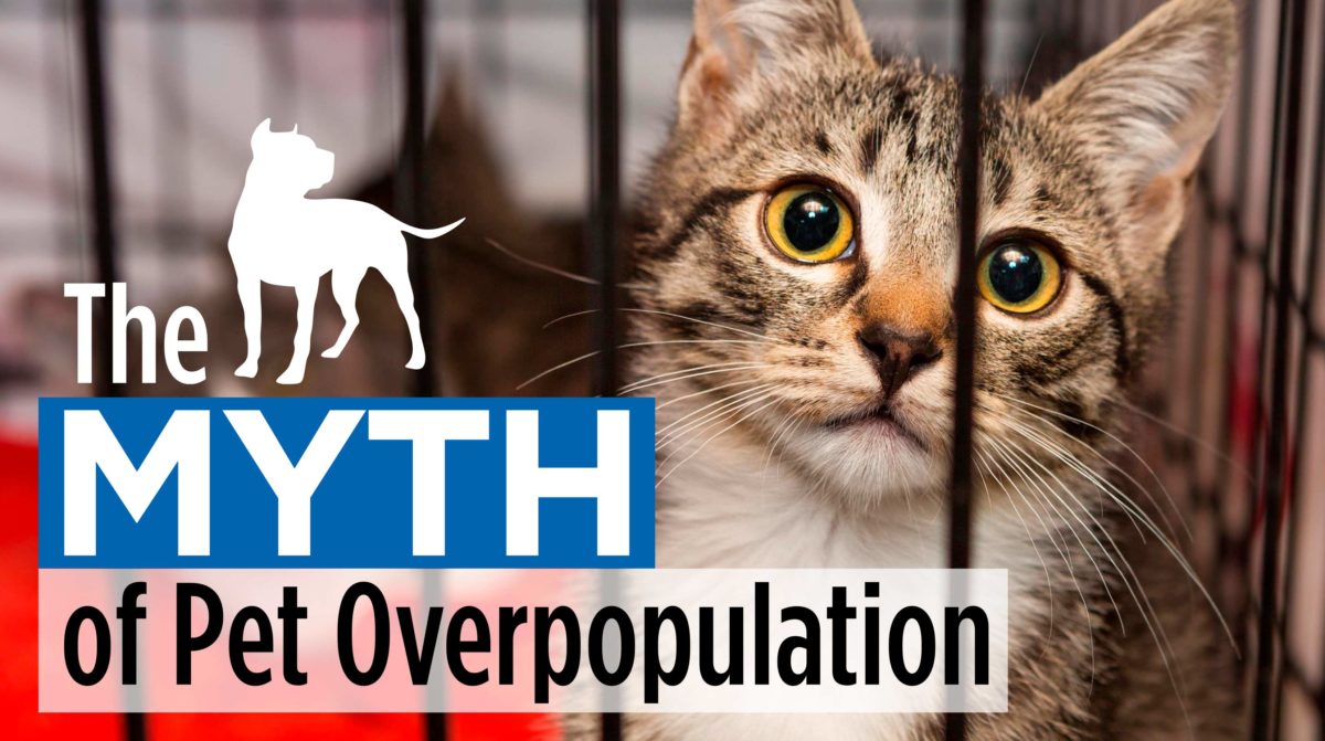 No Kill Know How The Myth of Pet Overpopulation Nathan J. Winograd